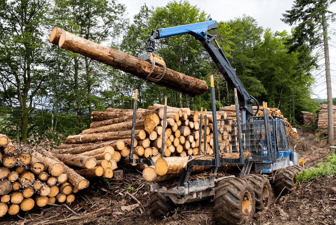 Forestier